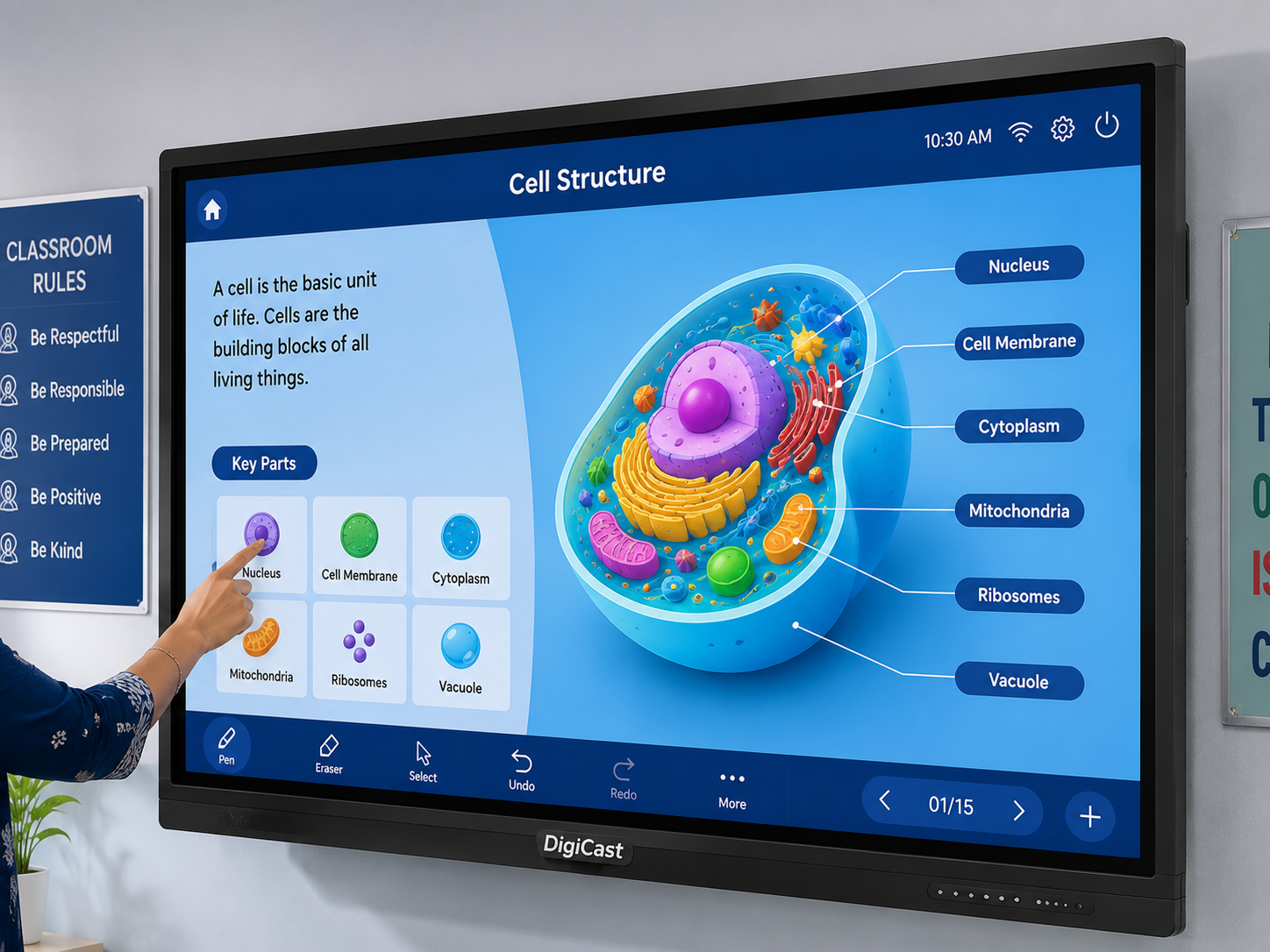 Interactive flat panel displaying a cell structure lesson